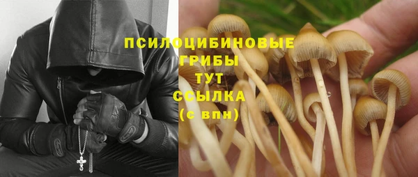 тгк Белокуриха