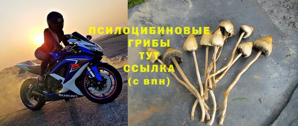 дживик Белоозёрский