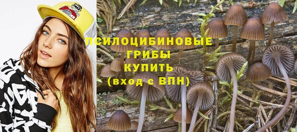 дживик Белоозёрский