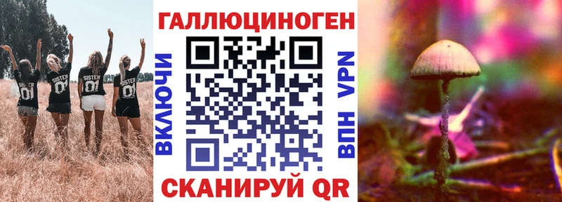 наркотики  Пионерский  Галлюциногенные грибы Psilocybine cubensis 
