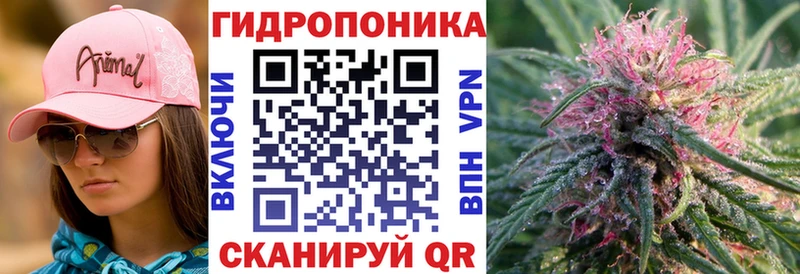 Шишки марихуана VHQ  купить  цена  Пионерский 